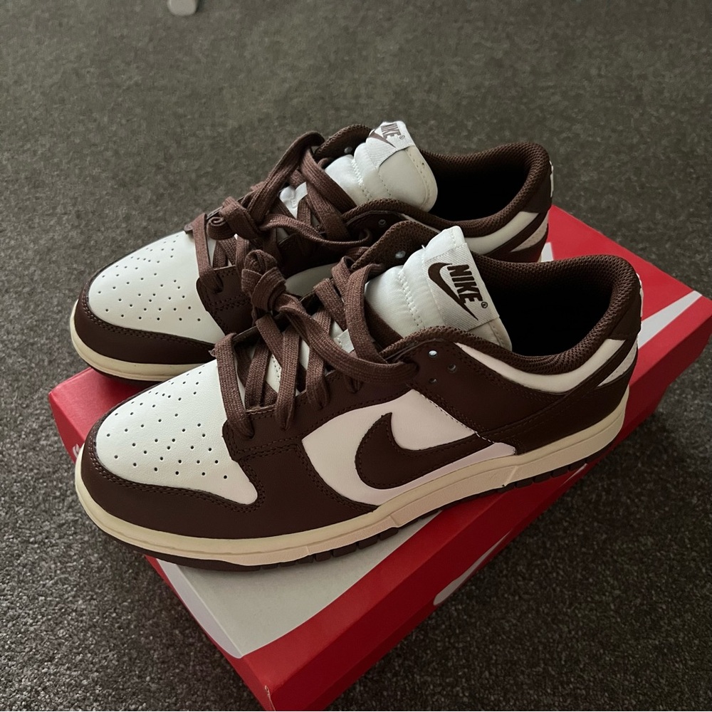 Nike Dunk Brown (Cacao)